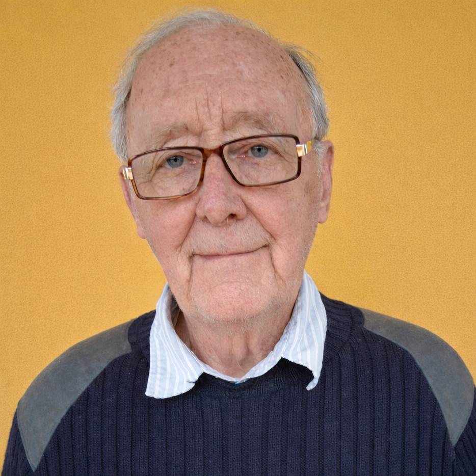 Erik V. Tornvall - Ambition Sverige