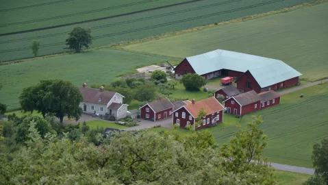 Bondgård i svenskt slättlandskap