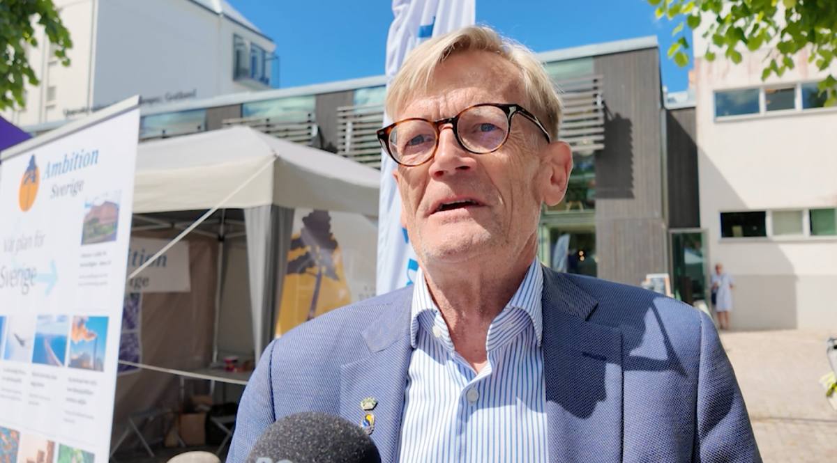 Bo Hansson, vice partiledare